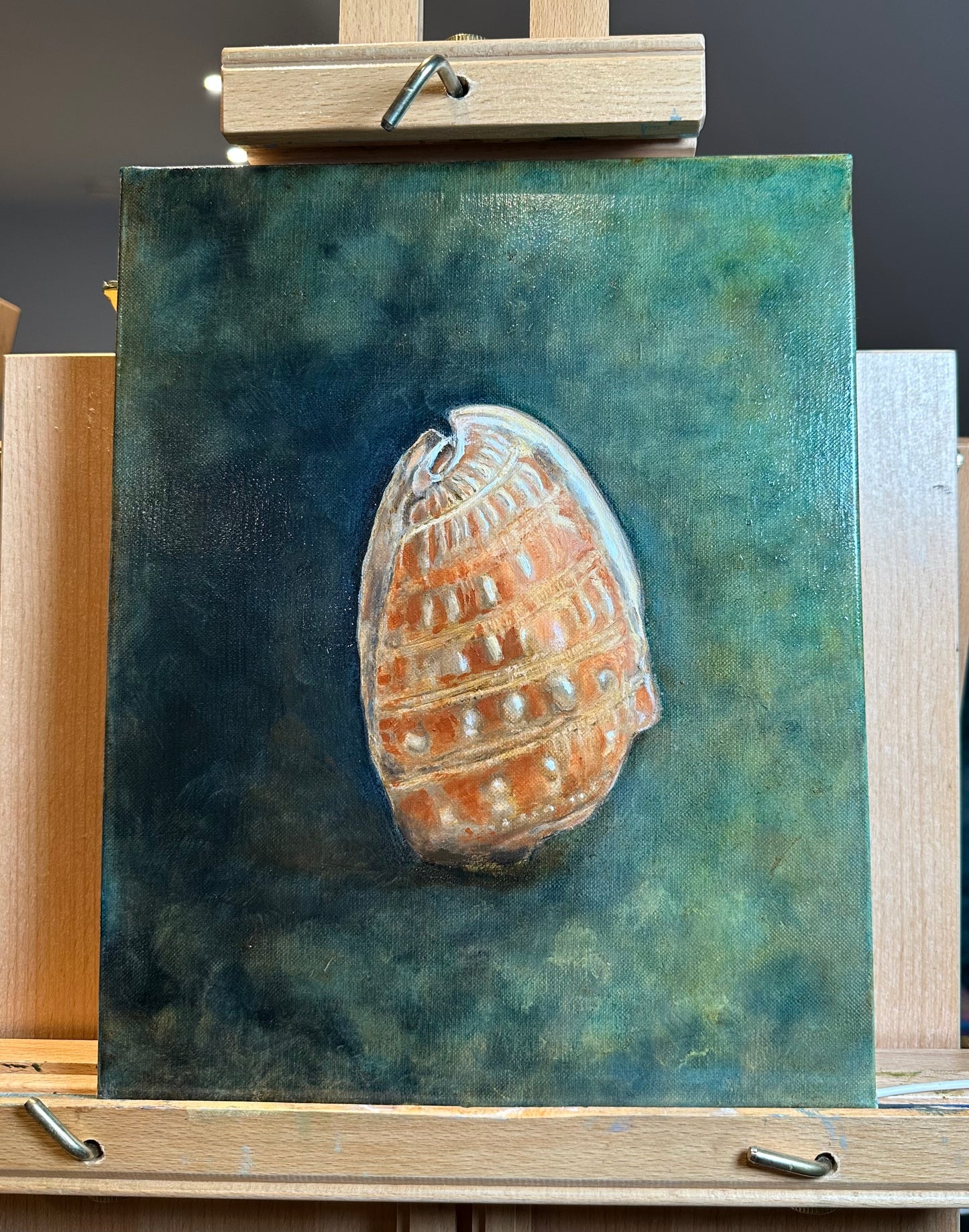 Orange Seashell Still Life | Original Oil Painting | 24 x 30 cm