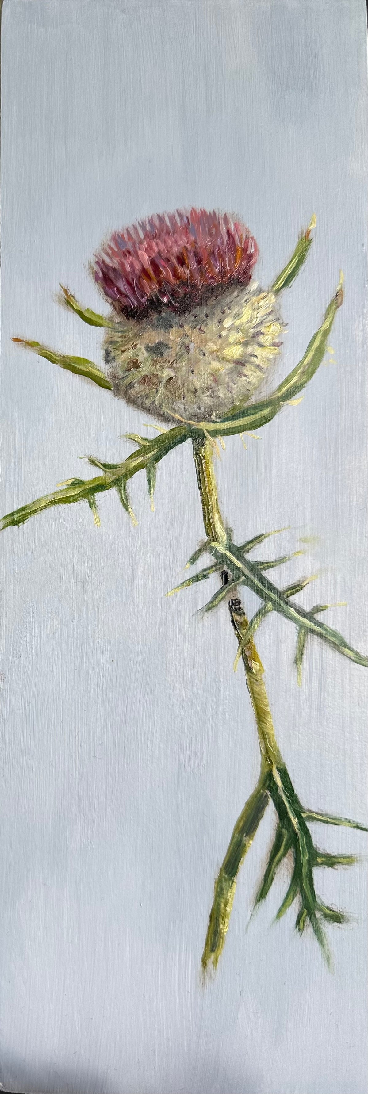 Thistle | Original Oil Painting | 4 x 12 inches