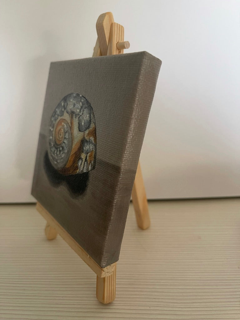Shell Still Life | Original Oil Painting | 4 x 4 inches