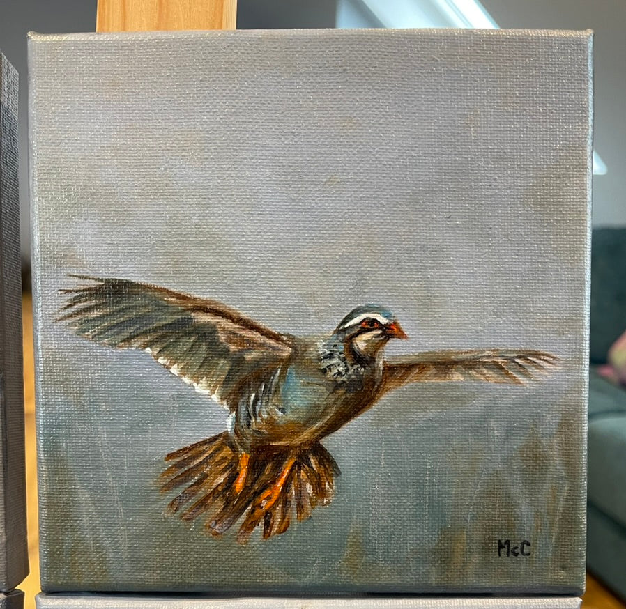 Partridge| Original Oil Painting | 6 x 6 inches