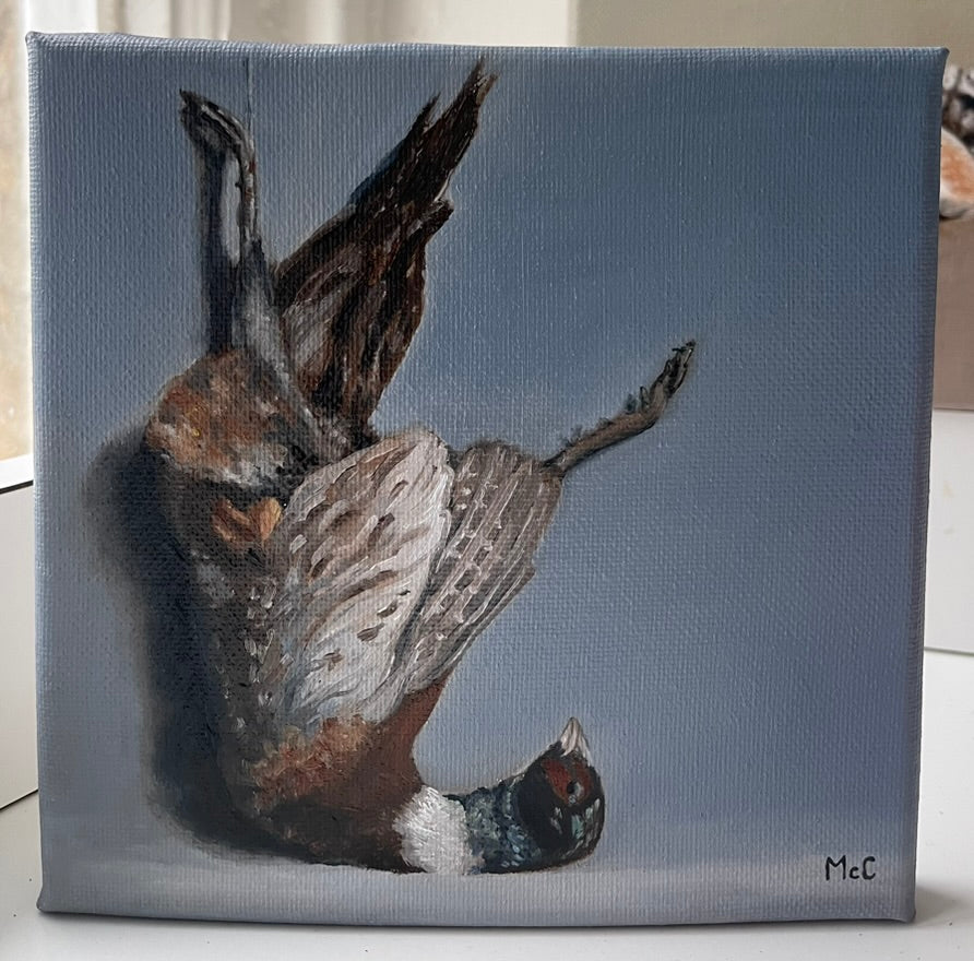 Pheasant | Original Oil Painting | 6 x 6 inches