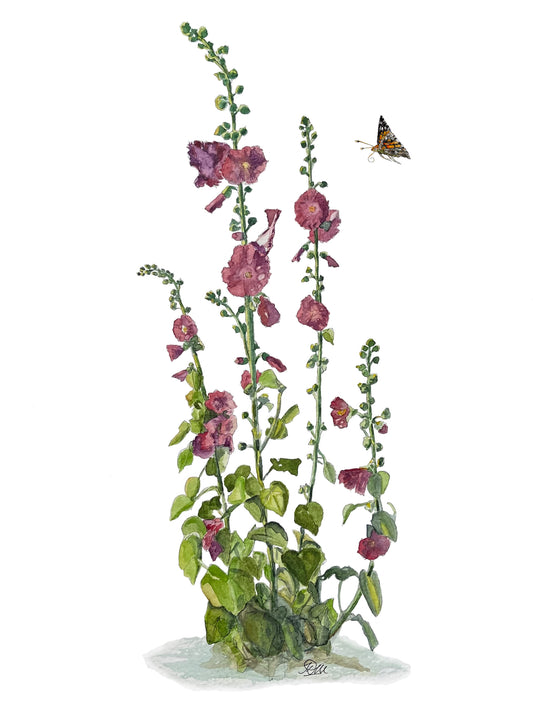 Hollyhocks with Butterfly Botanical Art | Original Watercolour