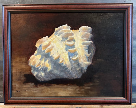 Giant Clam Still Life | Original Oil Painting | 16 x 12 inches with optional frame