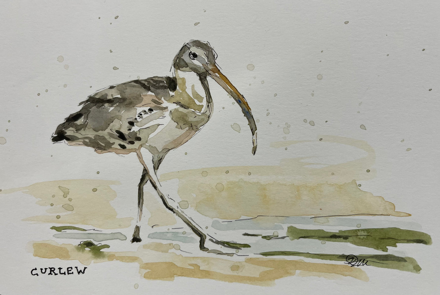 Curlew | Original Watercolour Sketch