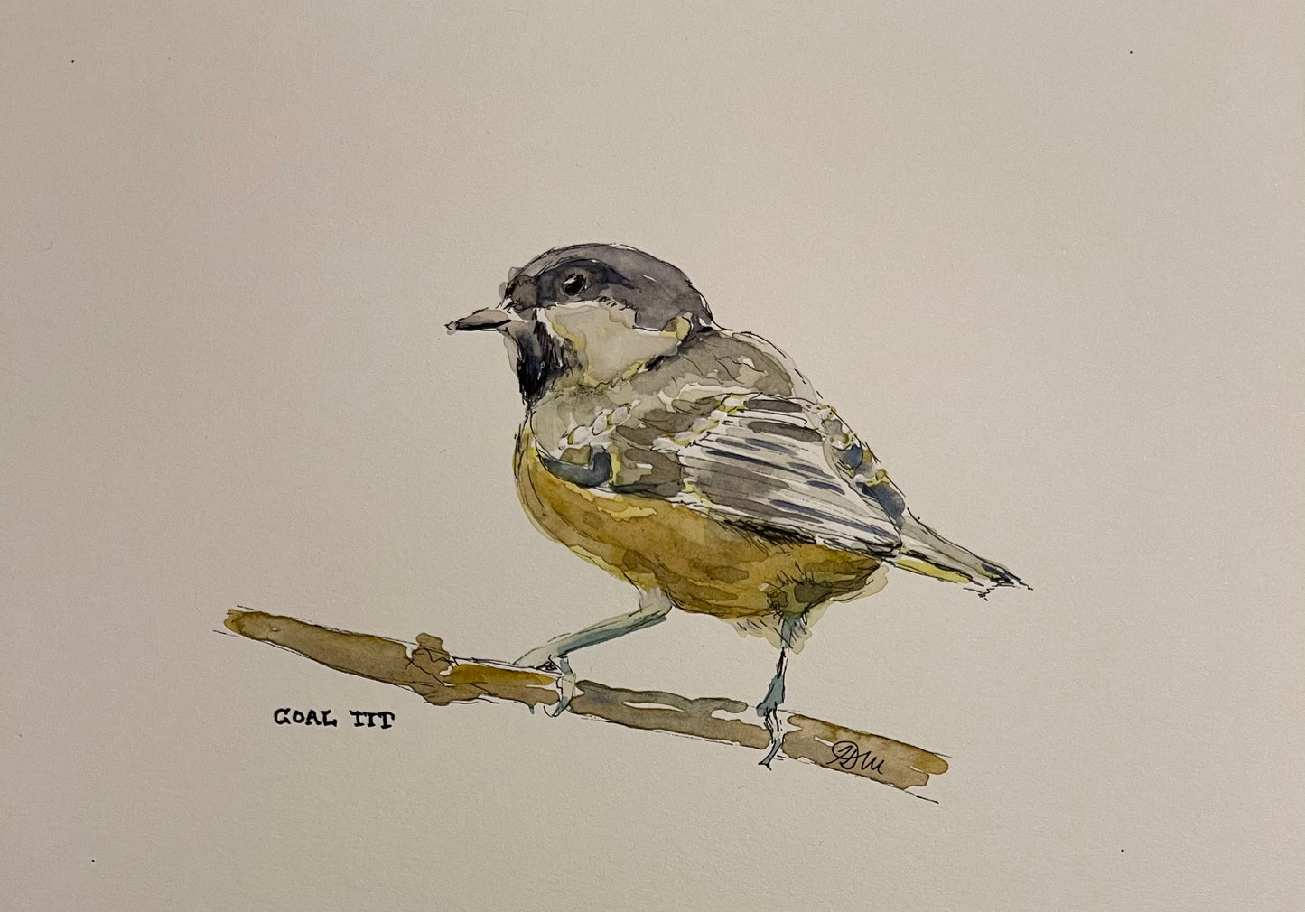 Coal Tit | Original Watercolour Sketch