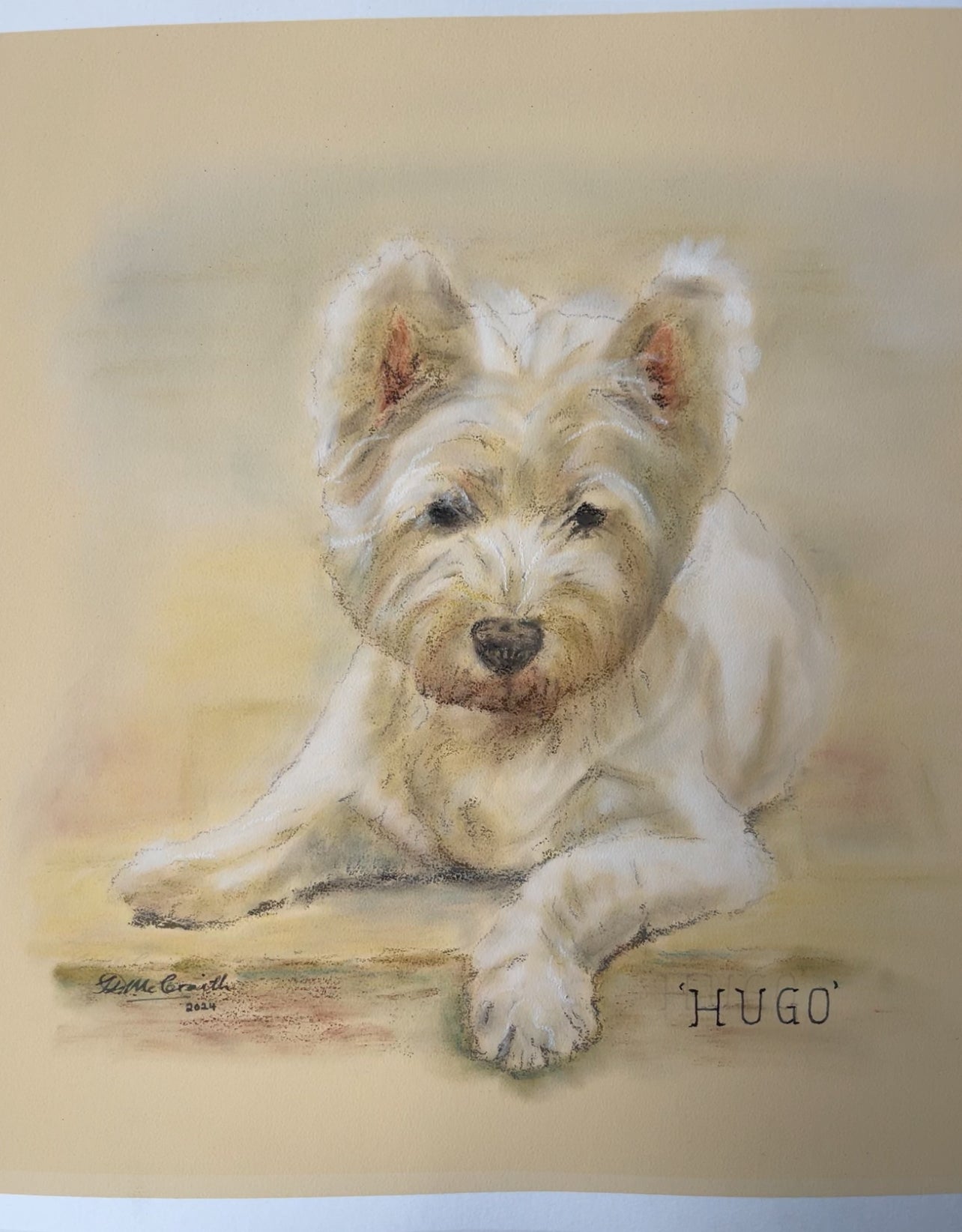 Hugo the Westie | Original Pastel Painting | 12 x 10 inches