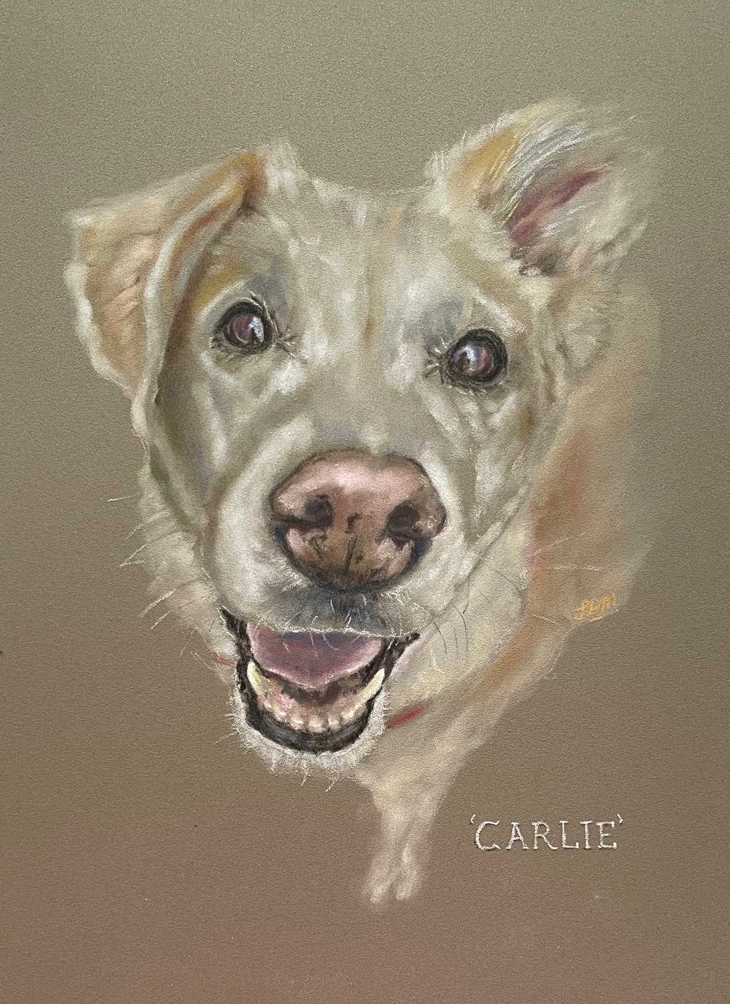 Carlie | Original Pastel Painting | 12 x 10 inches