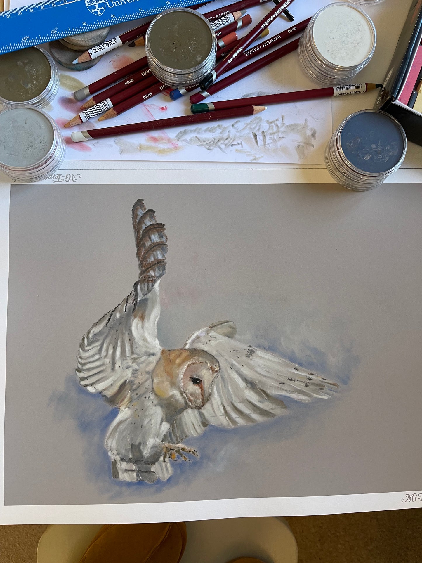 Skyfall - Barn Owl | Original Pastel Painting | 12 x 16 inches