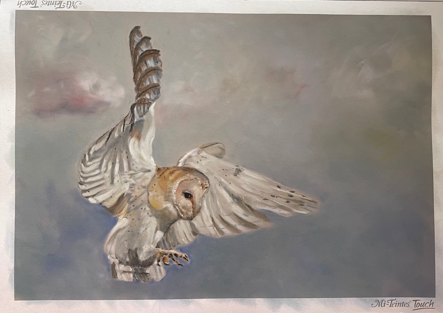 Skyfall - Barn Owl | Original Pastel Painting | 12 x 16 inches