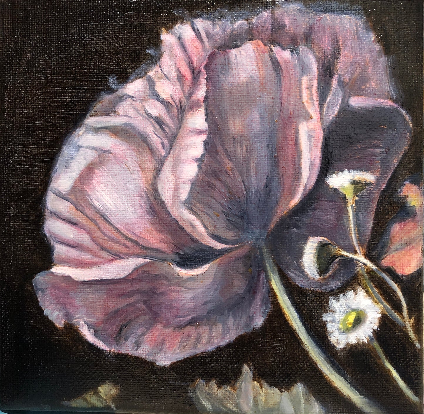 Peony Still Life Mini Master | Original Oil Painting | 6 x 6 inches with optional frame