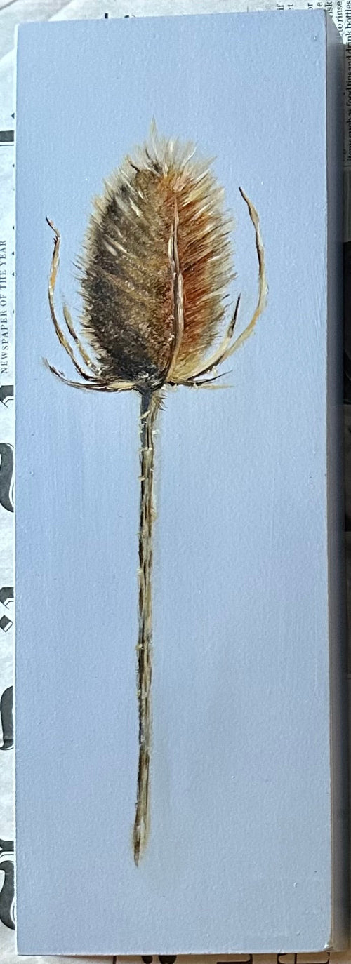 Teasel | Original Oil Painting | 4 x 12 inches