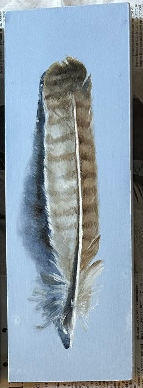 Buzzard Feather | Original Oil Painting | 4 x 12 inches