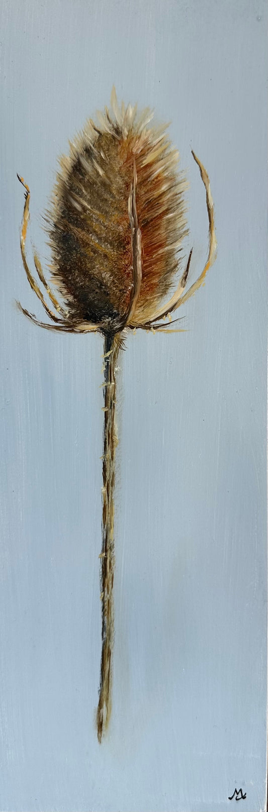 Original oil painting of a prickly teasel plant on a blue background by Cotswold artist Susan McCraith