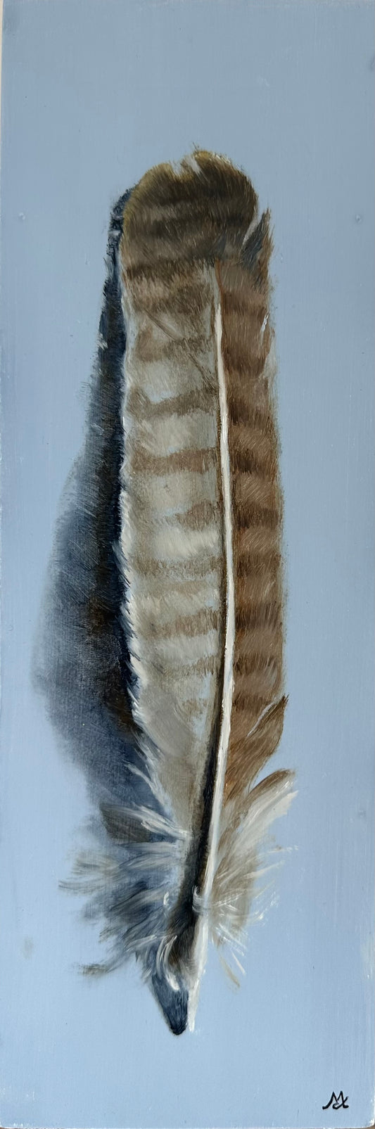 Original oil painting of a Buzzard Feather on a blue background by Cotswold artist Susan McCraith