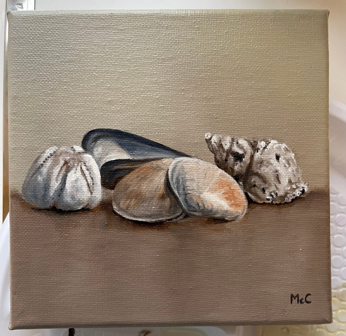 Beach Shells Still Life | Original Oil Painting | 6 x 6 inches with optional frame