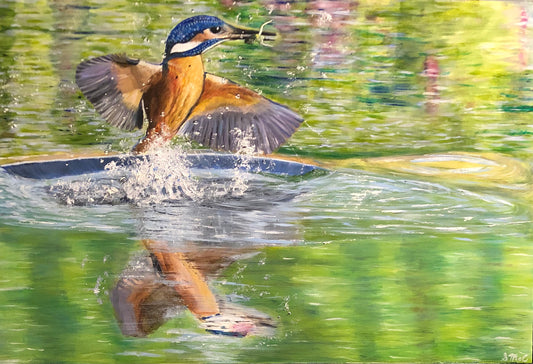 Kingfisher Original Oil Painting