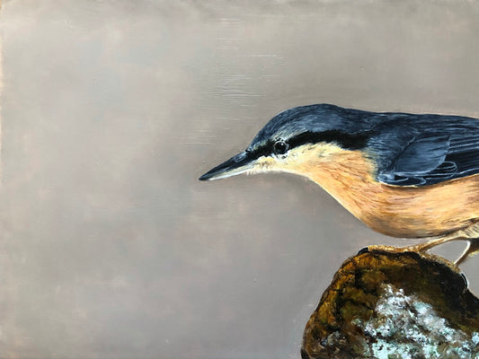 Bird Oil Painting Nuthatch