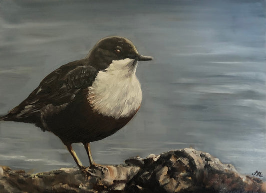 Bird Oil Painting Dipper